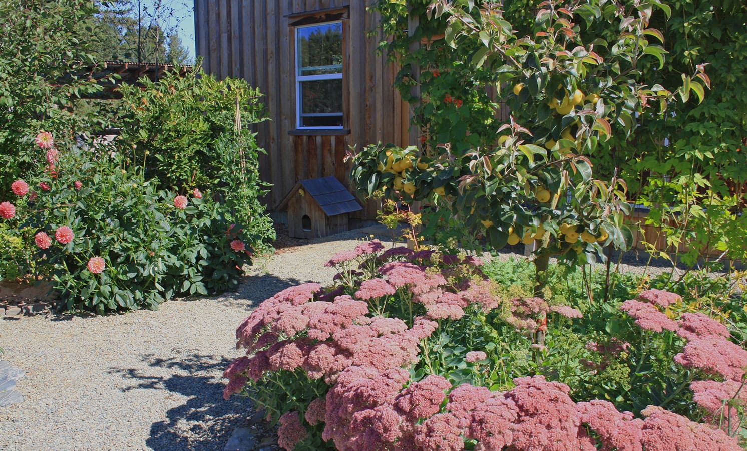 25 Beautiful Plants for Your Edible Landscape - Eartheasy