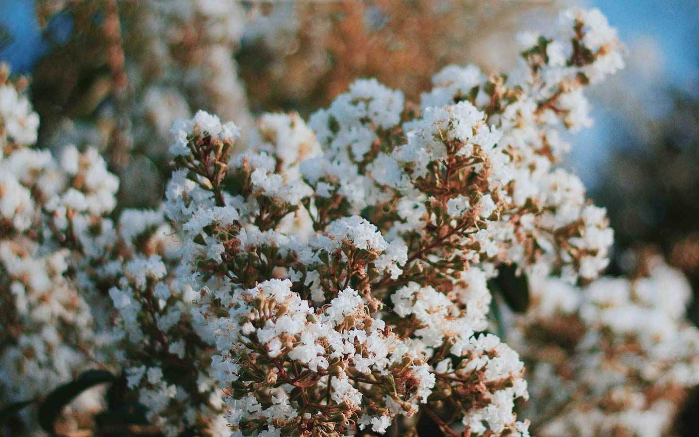 Ocean Acidification Accelerates, Threatening Marine Ecosystems