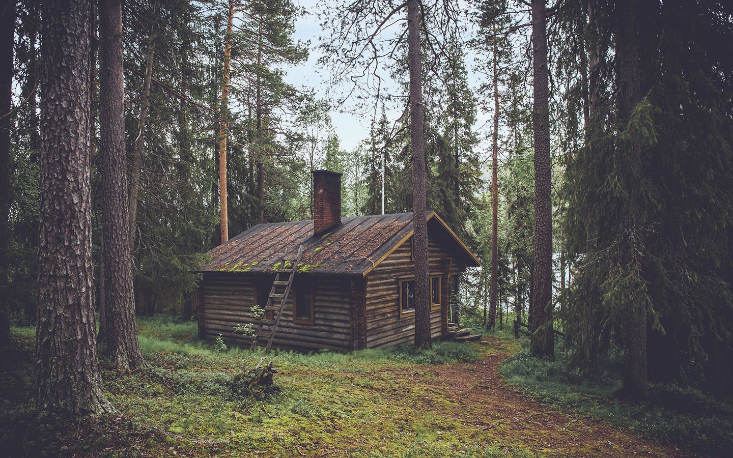 4 Mistakes to Avoid for the Novice Homesteader - Eartheasy