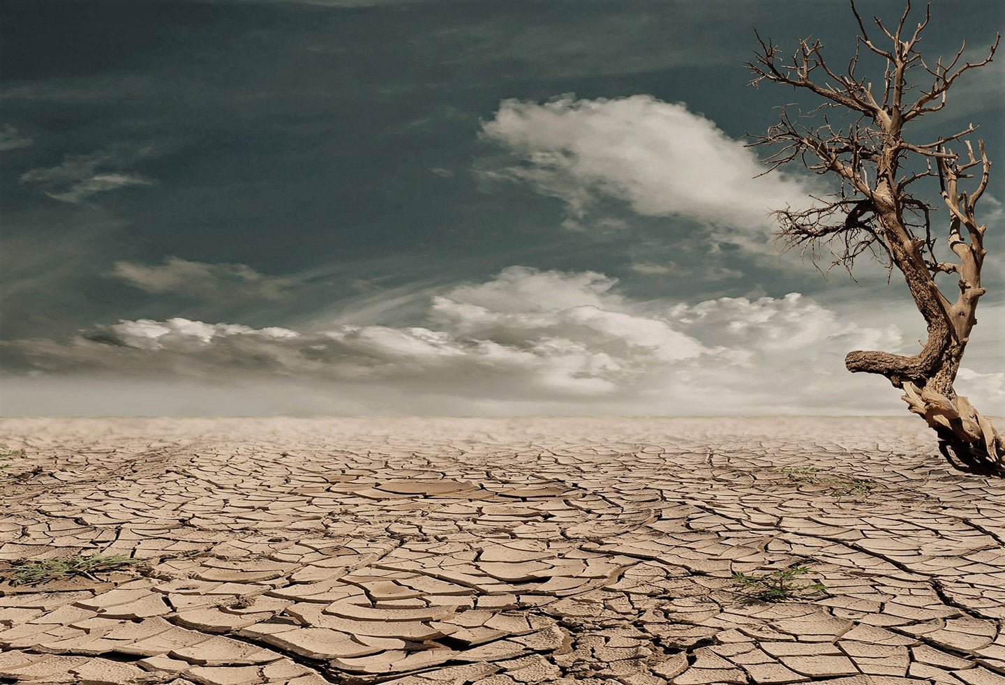 5 Amazing Inventions For a Thirsty Planet - Eartheasy