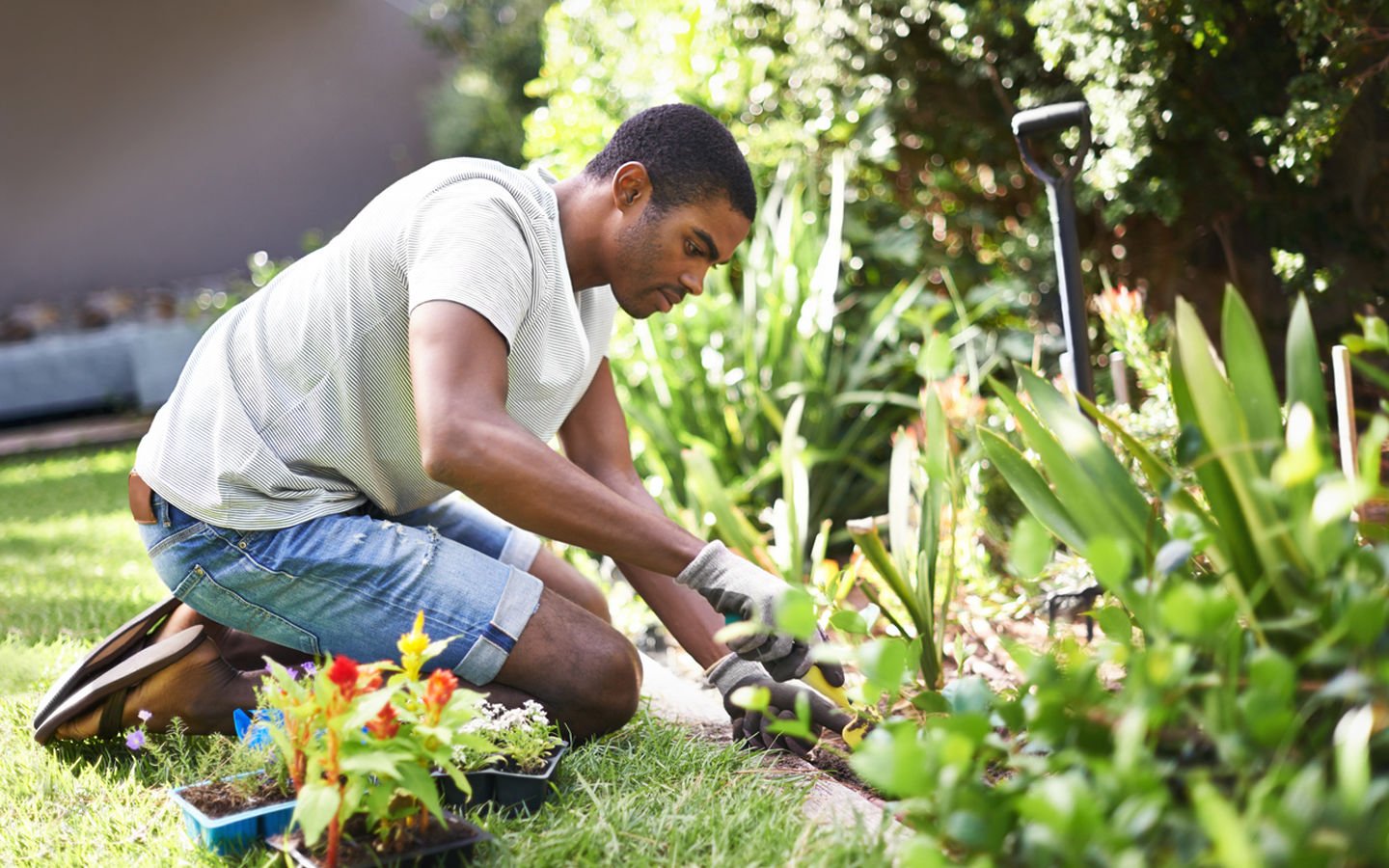 5 Easy Ways to Green Your Landscaping - Eartheasy