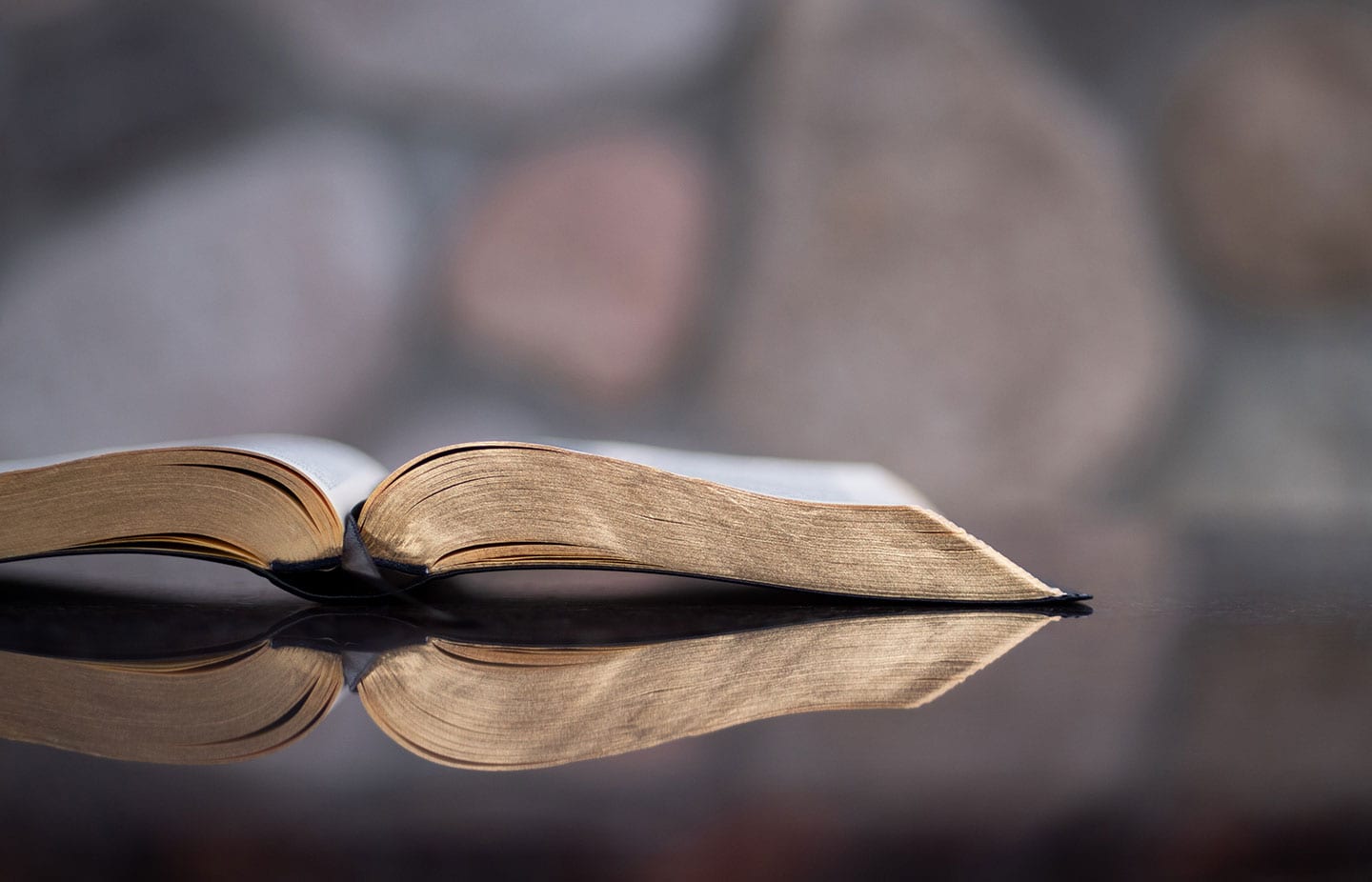 5 Must-Read Non-Fiction Books from 2018 - Eartheasy