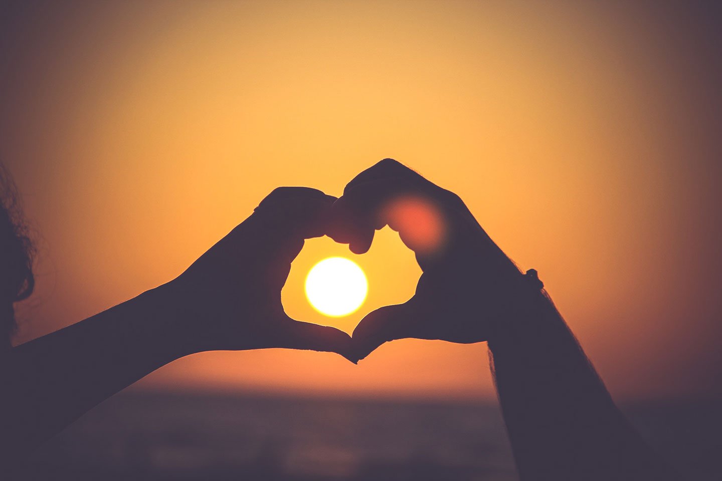 5 Sustainable Innovations to Be Thankful For - Eartheasy