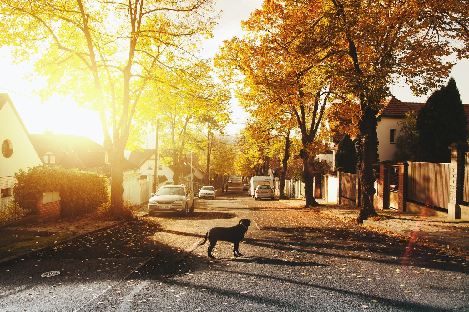 5 Ways to Build Community This Summer - Eartheasy