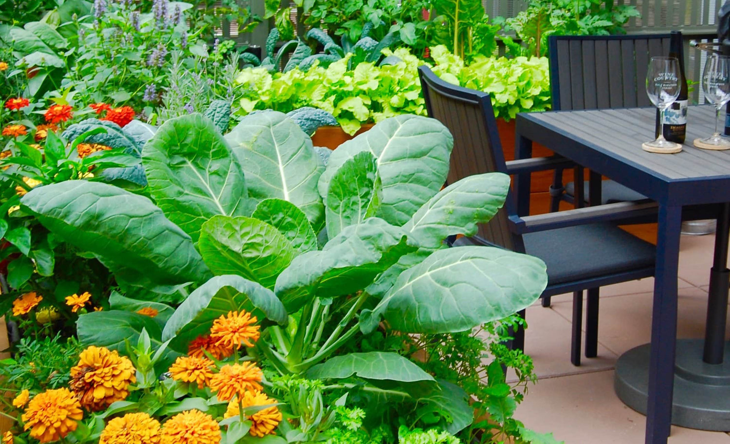 6 Beautiful Layouts for Raised Bed Gardens - Eartheasy