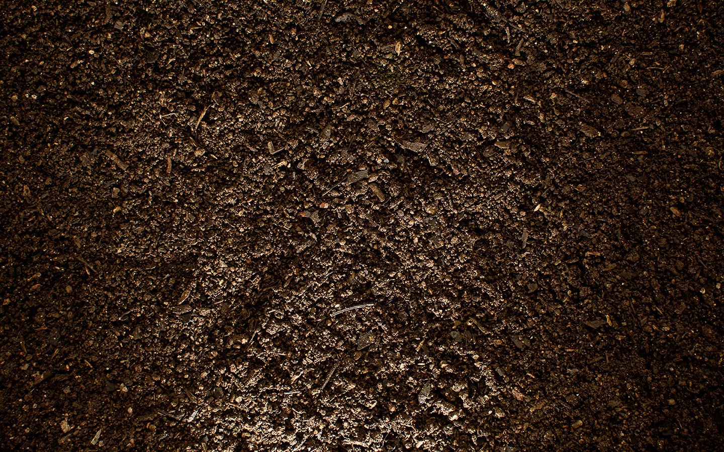 6 Tips for Building Soil for Your Raised Garden Beds and Planters - Eartheasy