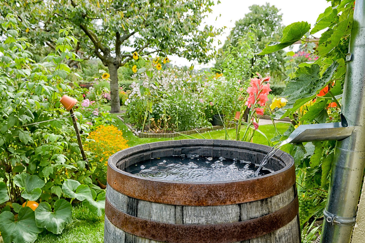 6 Tips for Installing a Rainwater Collection System - Eartheasy