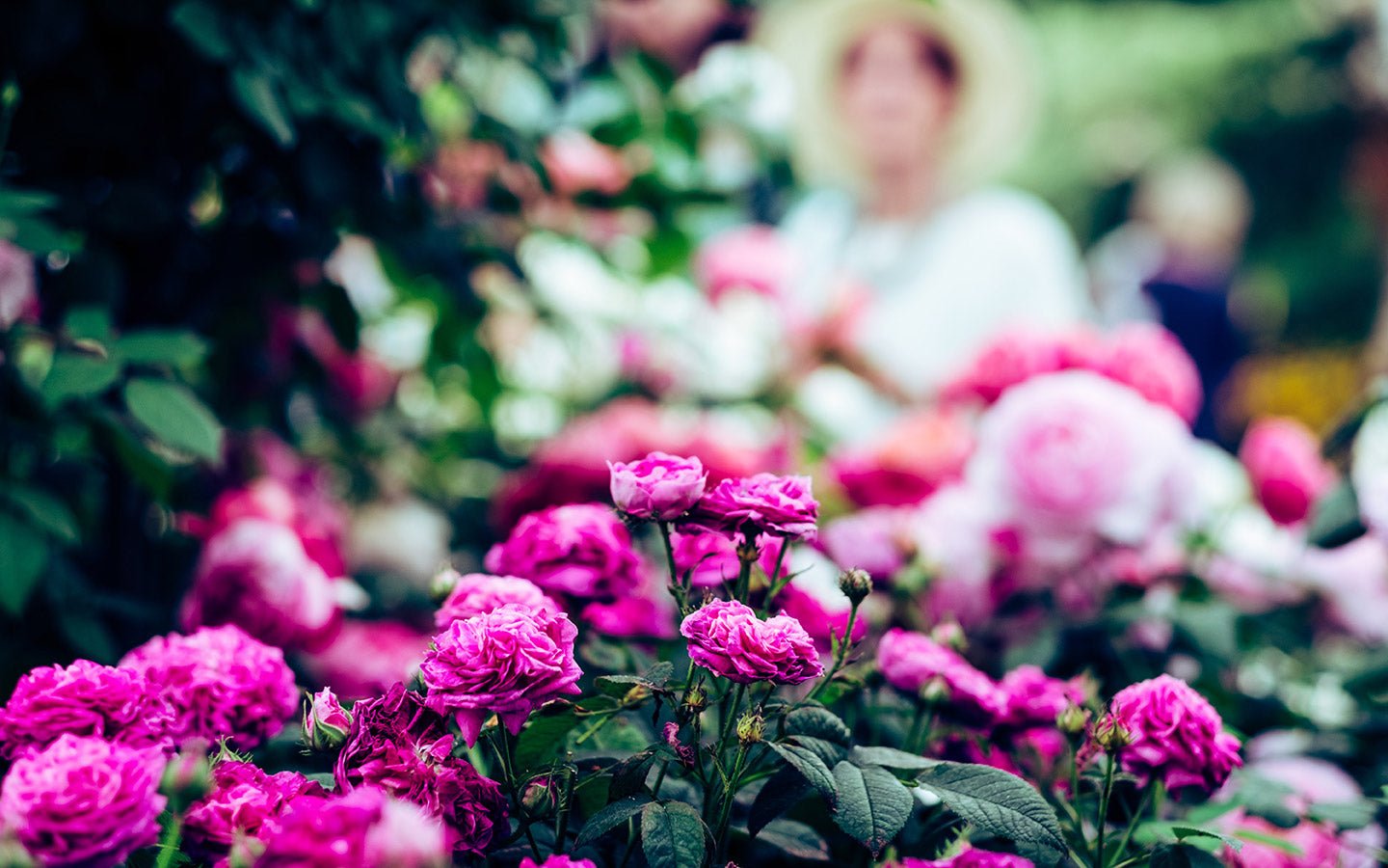 6 Unexpected Health Benefits of Gardening - Eartheasy