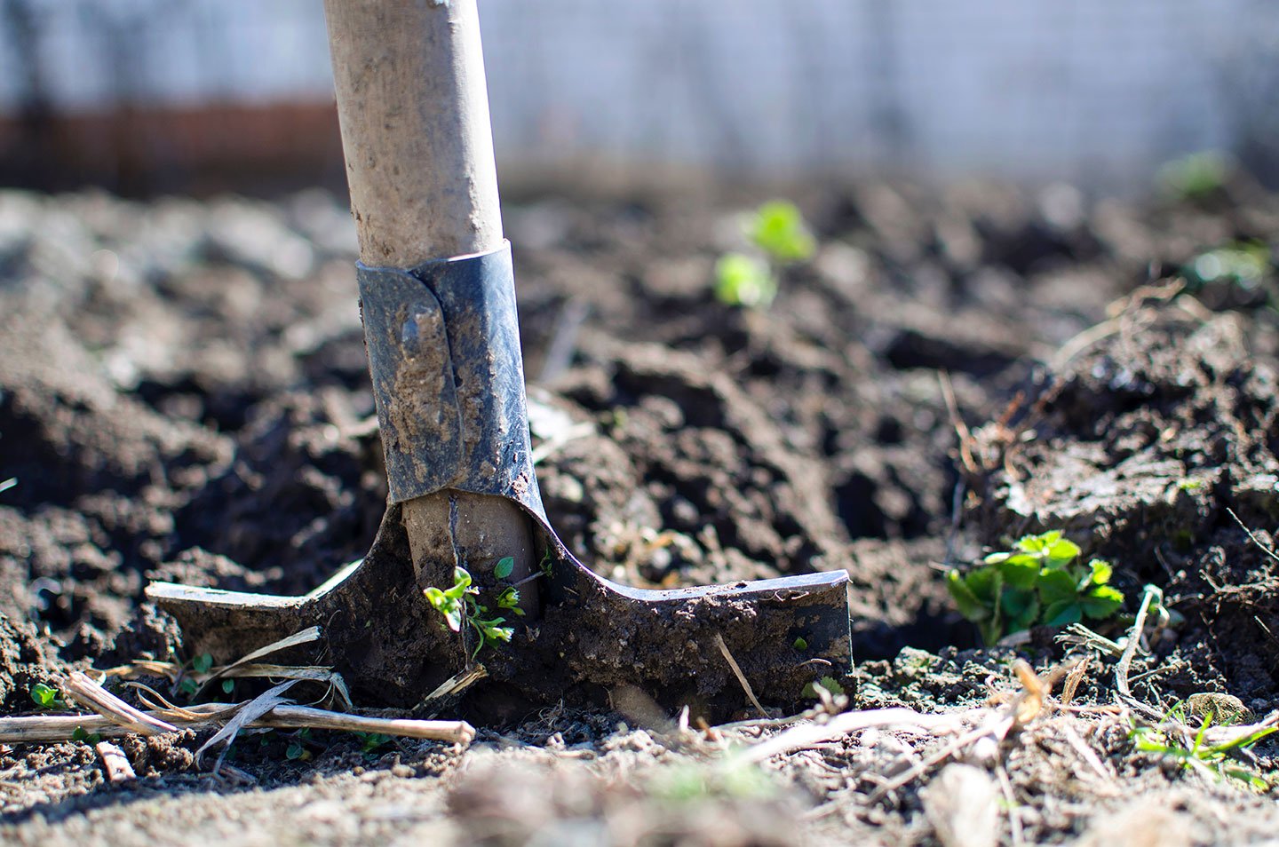 7 Signs Your Compost is Struggling (and What You Can Do About It) - Eartheasy