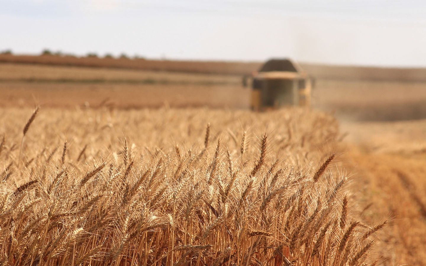 7 Ways Organic Farms Outperform Conventional Farms - Eartheasy