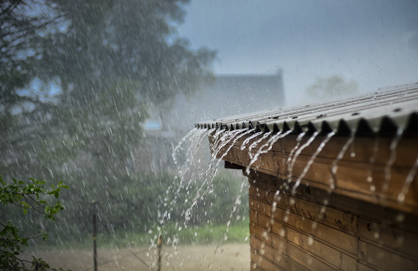 8 Ways to Help the Victims of Hurricane Harvey - Eartheasy