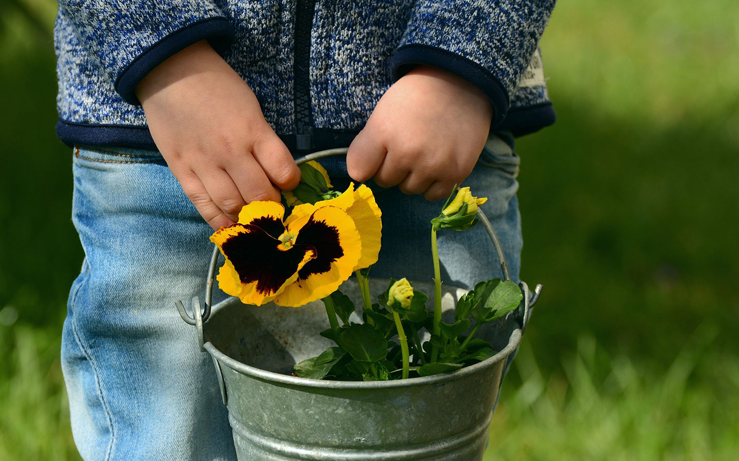 Teaching My Child How to Garden: Summer Progress
