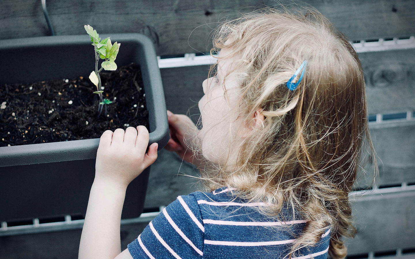 Teaching My Child How to Garden – Getting Started