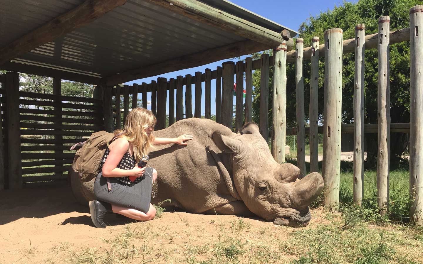 Can De-Extinction Save Our Planet? An Interview with Britt Wray