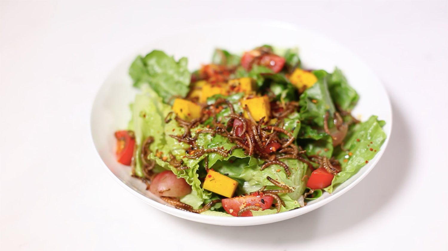 Should We Be Eating Insects?