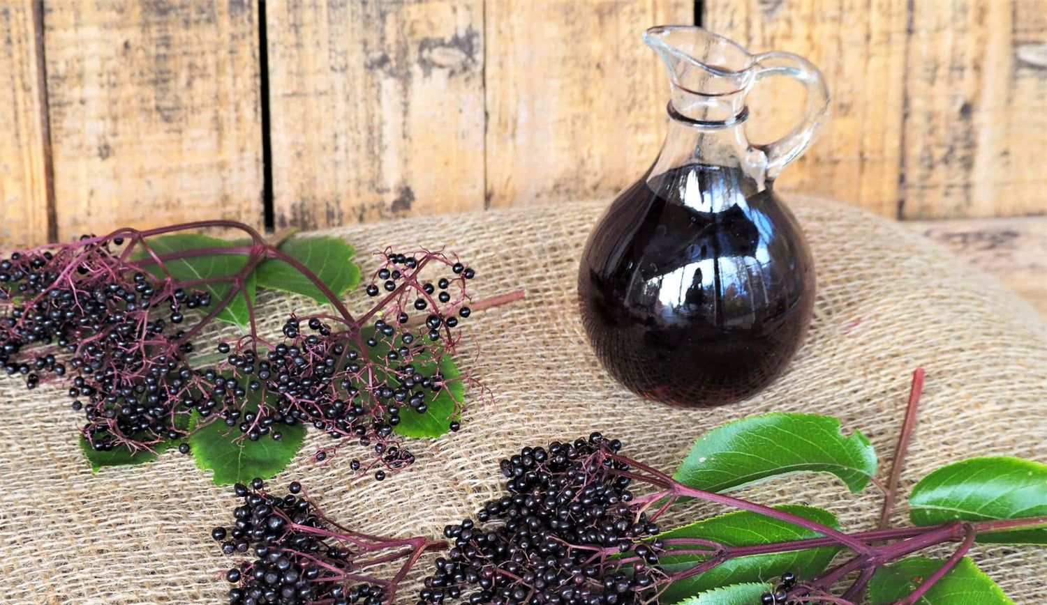 The Amazing Elderberry: Health Benefits and Uses