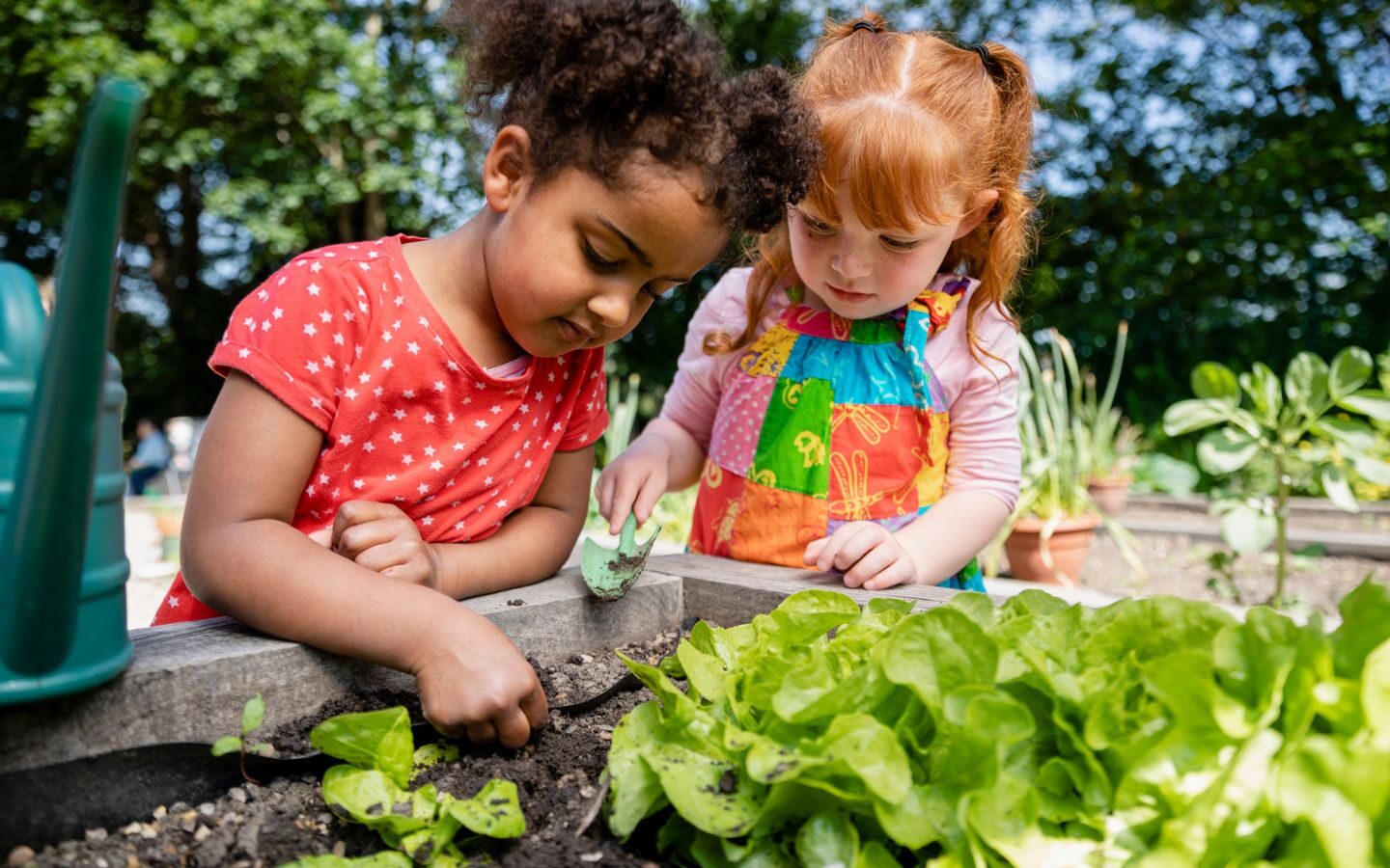 Get Started With School Composting