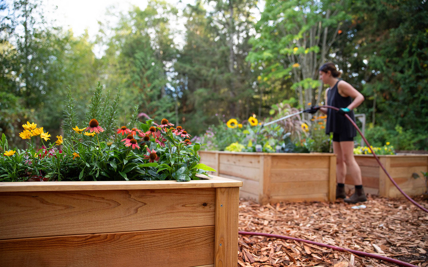 Garden Projects for Early Spring