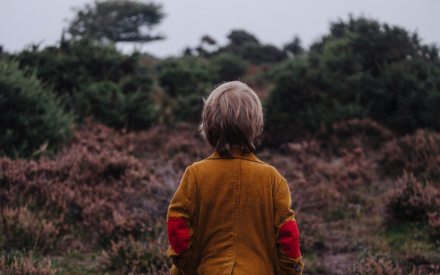 How to Get Your Child Excited About Nature