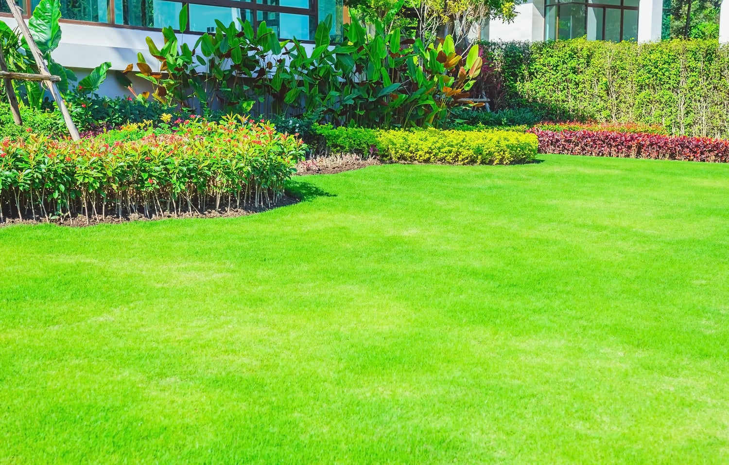 Raising Men Lawn Care Service Review