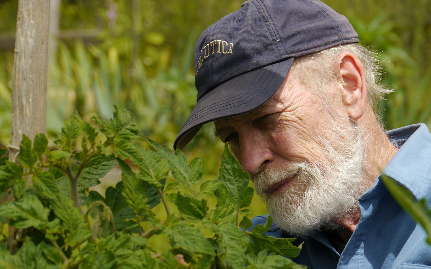 An Interview with Greg Seaman, Founder of Eartheasy