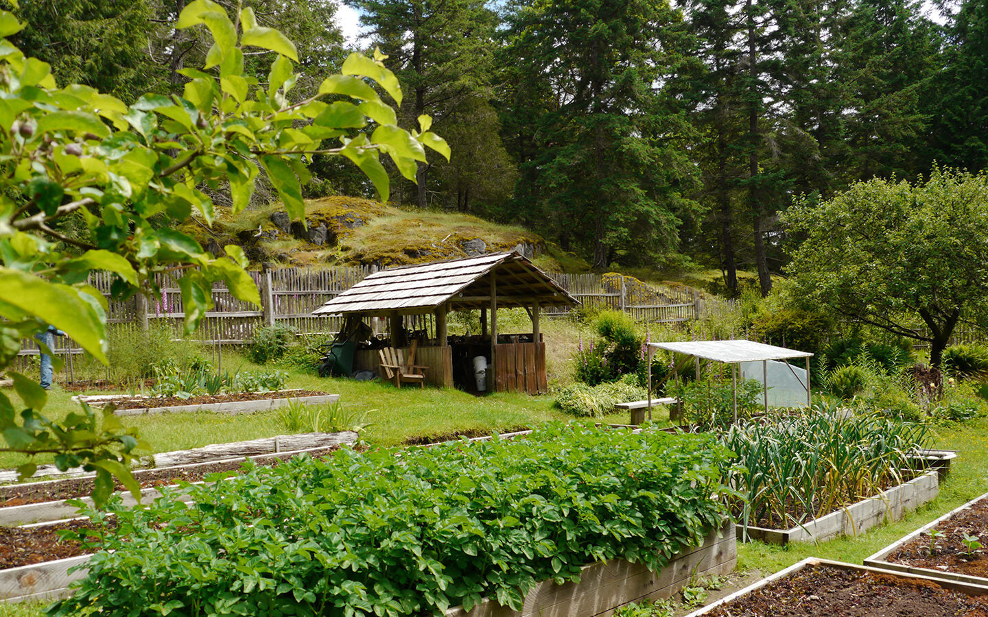 Garden As If Your Life Depended On It, Because It Does