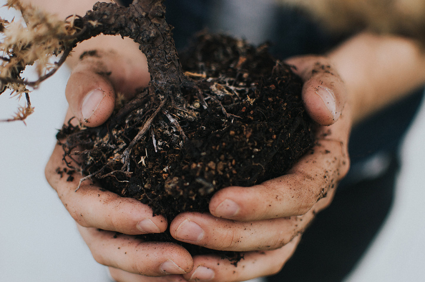 How to Build a Compost Bin