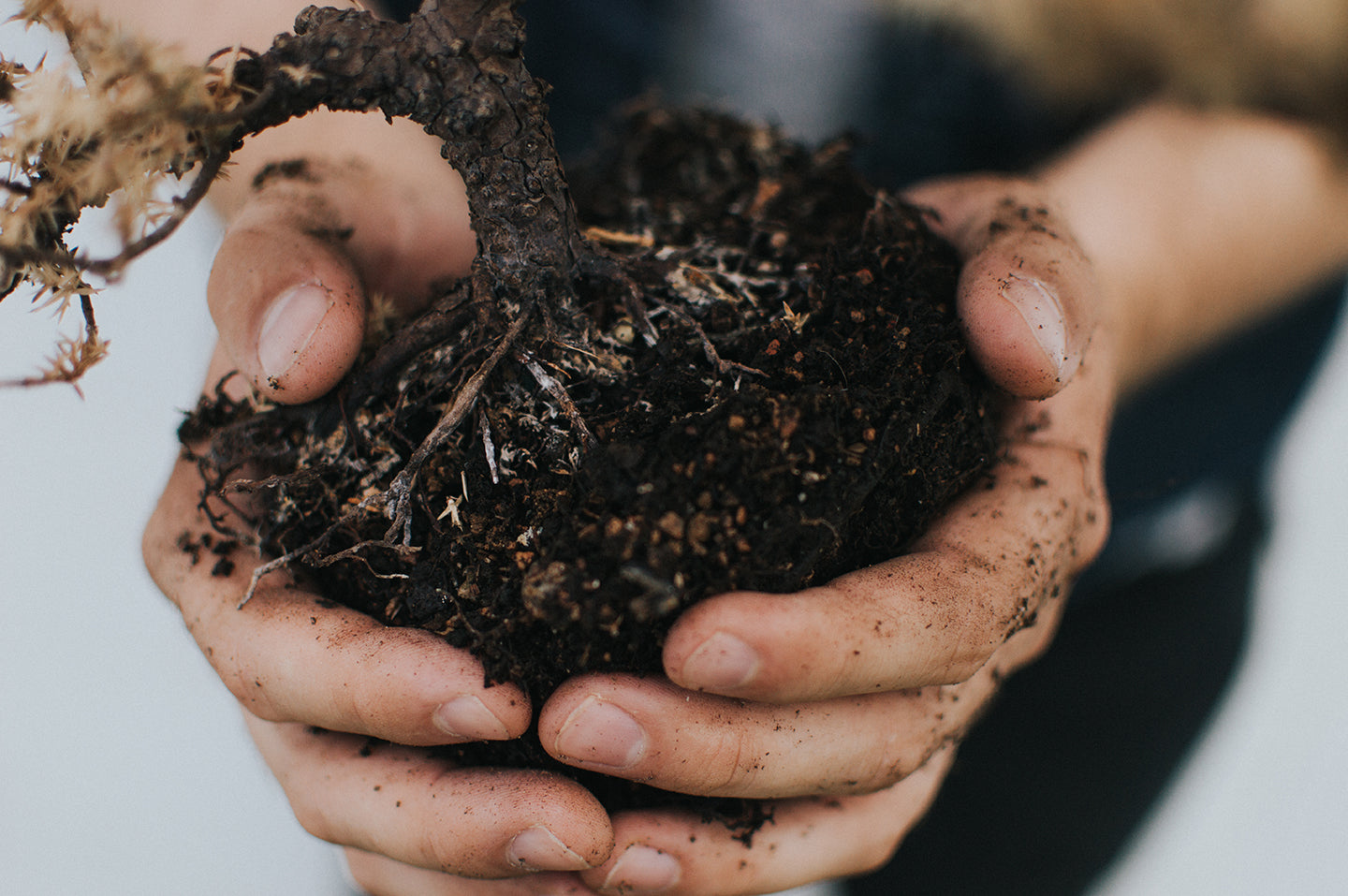 3 Useful Soil Mixes for Planters and Raised Beds