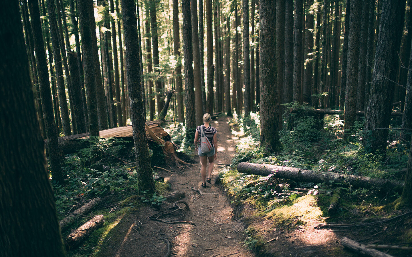Lost Hikers May be Going in Circles, Study Says