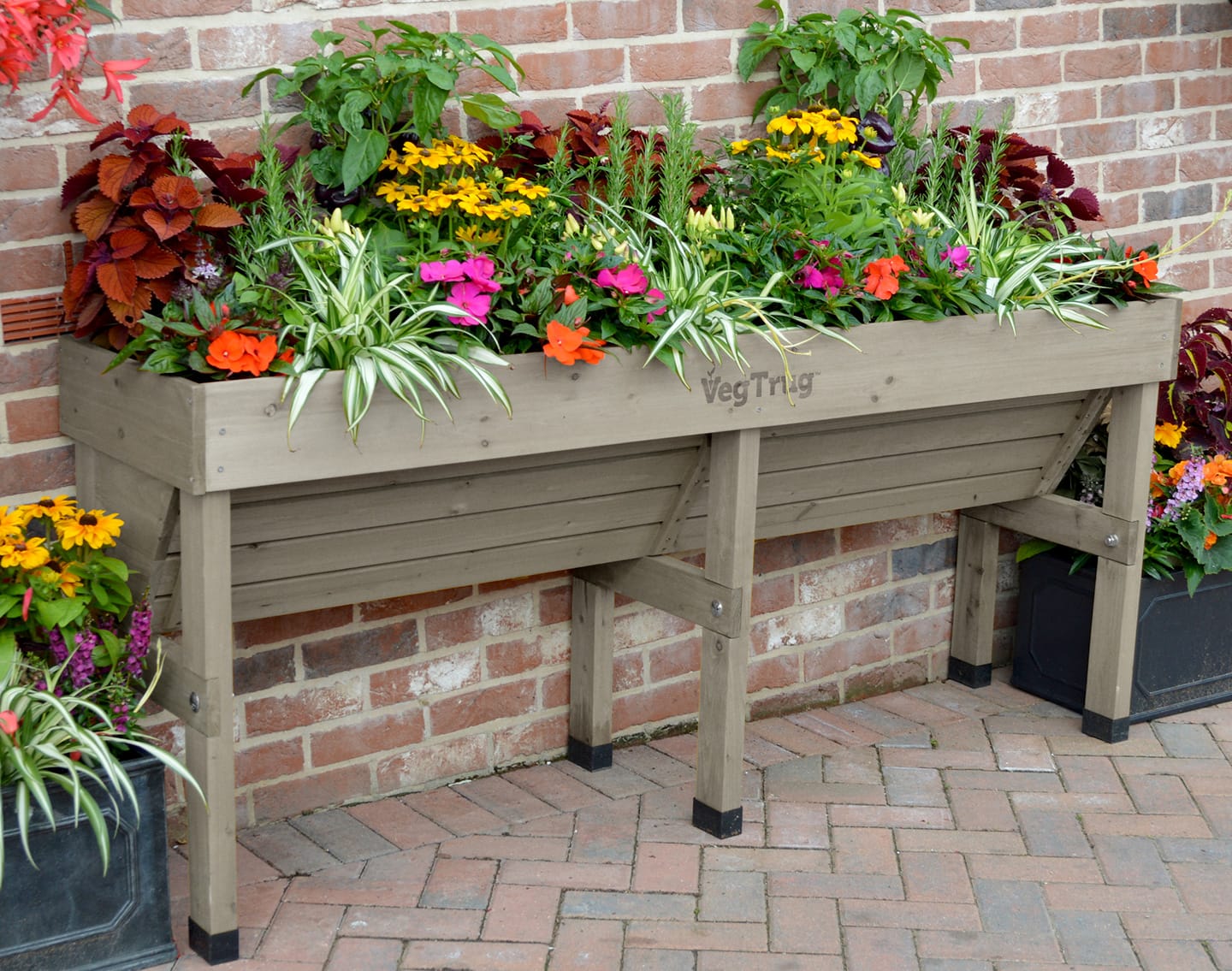 Container Gardening Secrets: Ideas to Inspiration