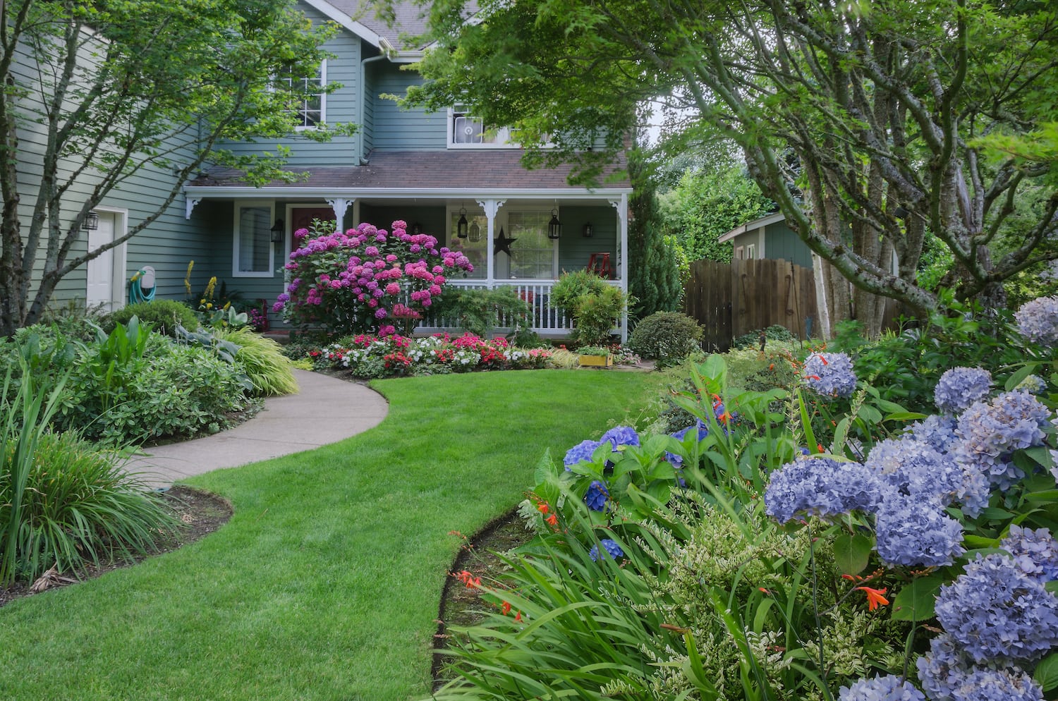 Weed Man Lawn Care Review