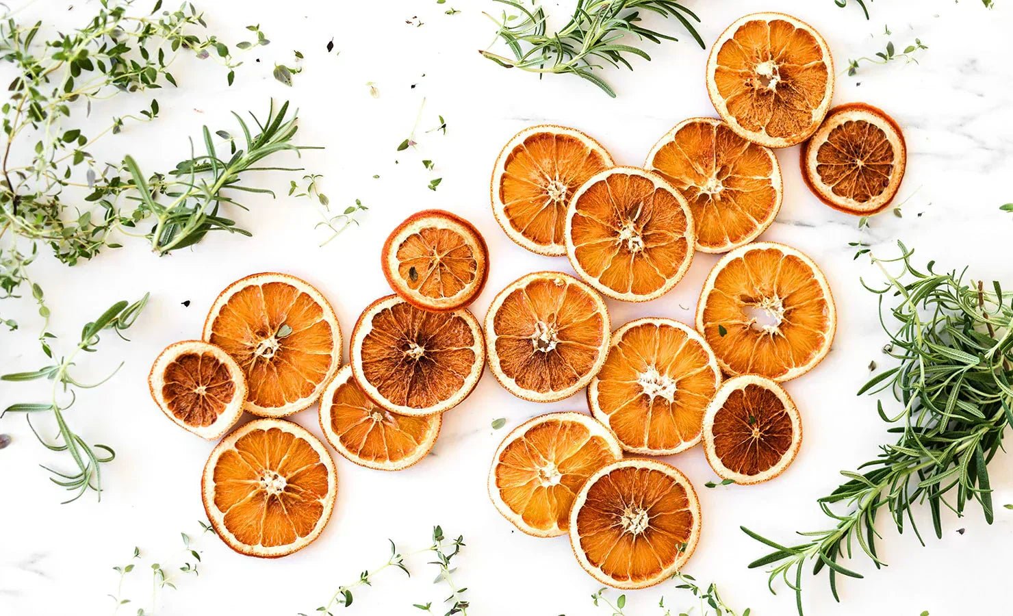 A Beginner’s Guide to Dehydrating Food - Eartheasy