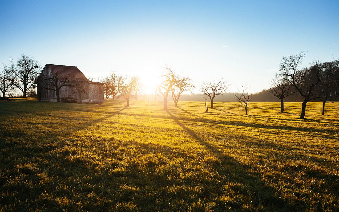A City Woman’s Impressions on Starting a Farm - Eartheasy