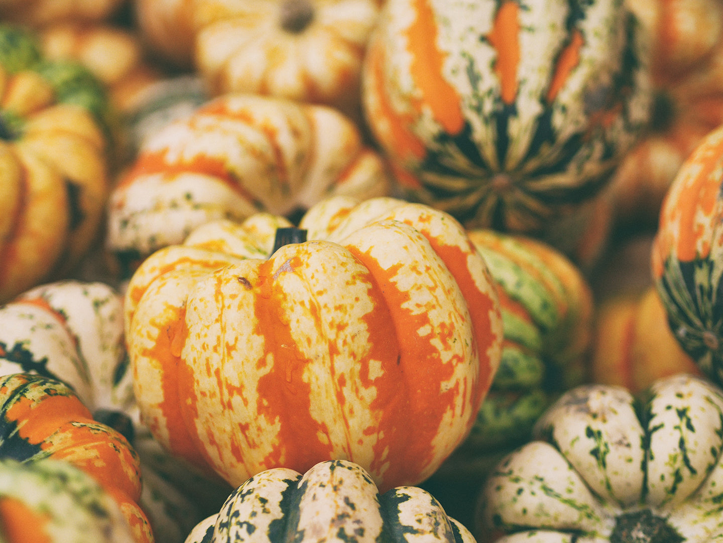 5 Winter Squash Recipes to Steal the Show on Thanksgiving