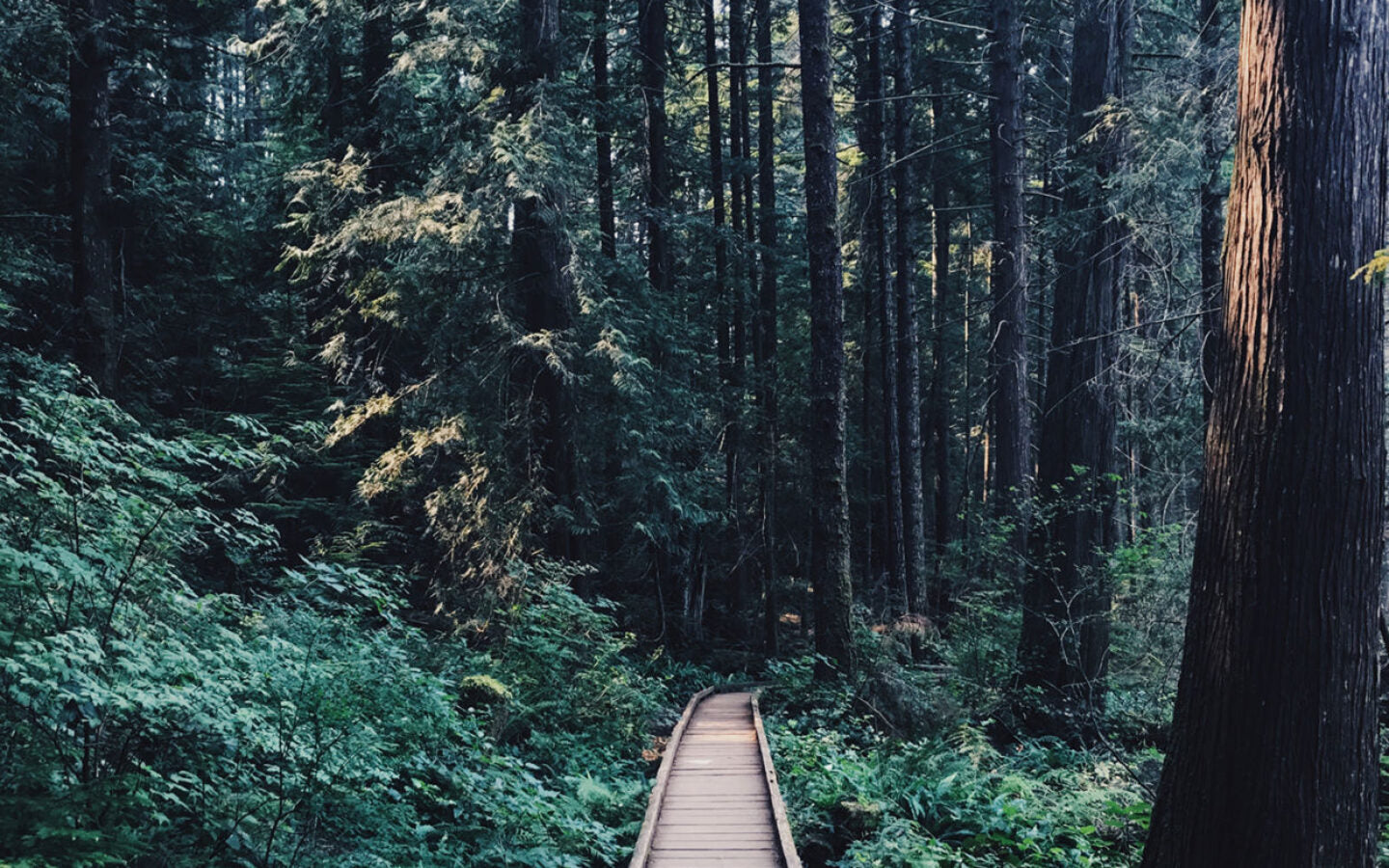 A New Beginning: 6 Simple Steps to Sustainability