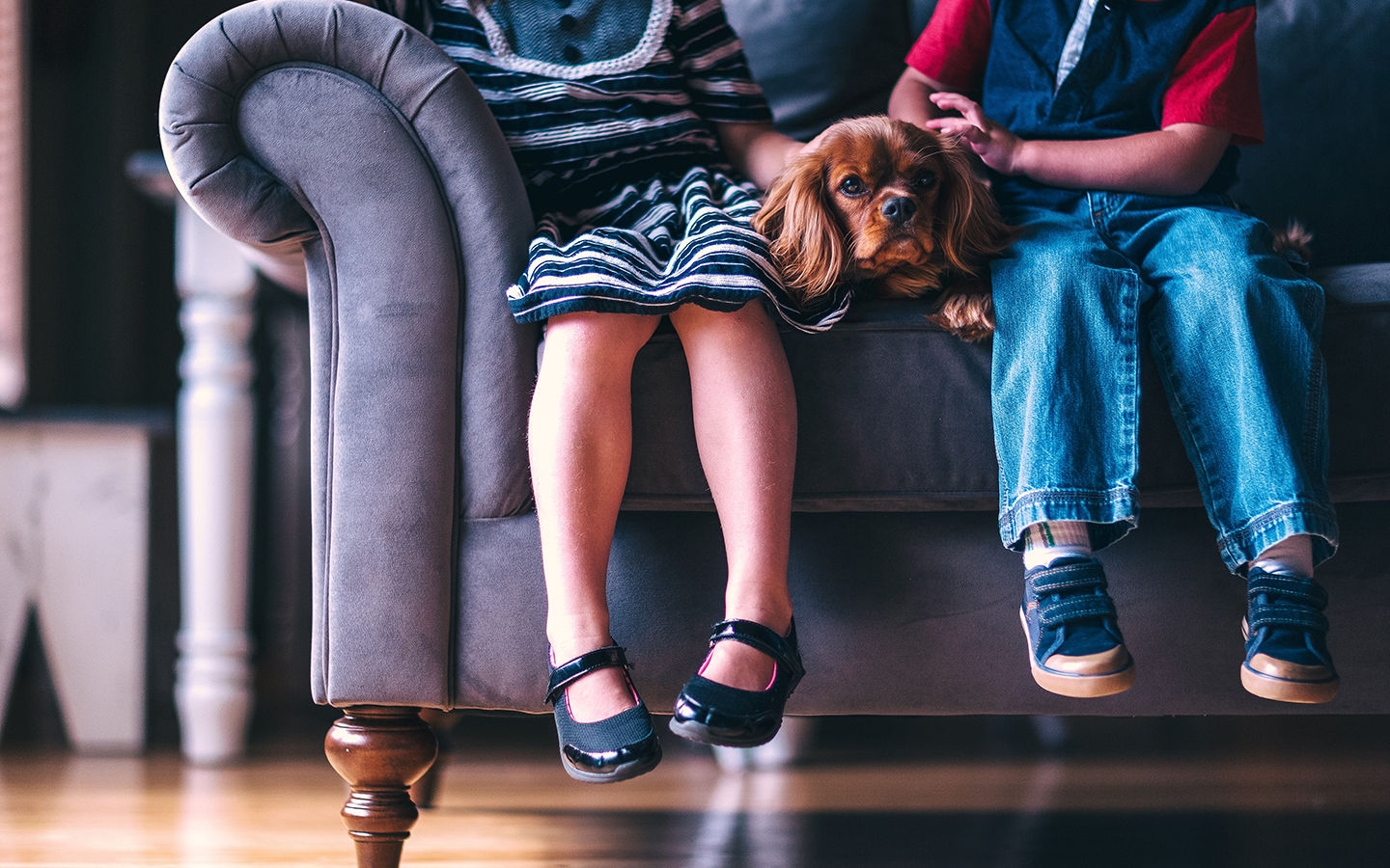 Most Homes in US Found to Harbor Lingering Pesticides