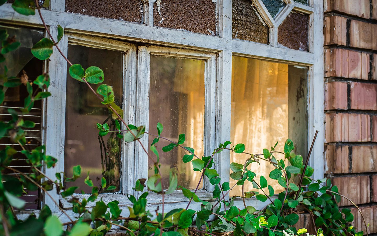 How to Ensure Replacement Windows Live up to Efficiency Claims