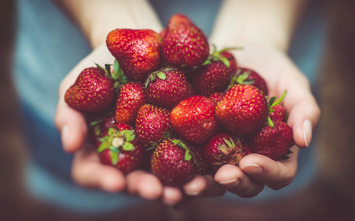 Backyard Vegetable Garden: Growing Your Garden