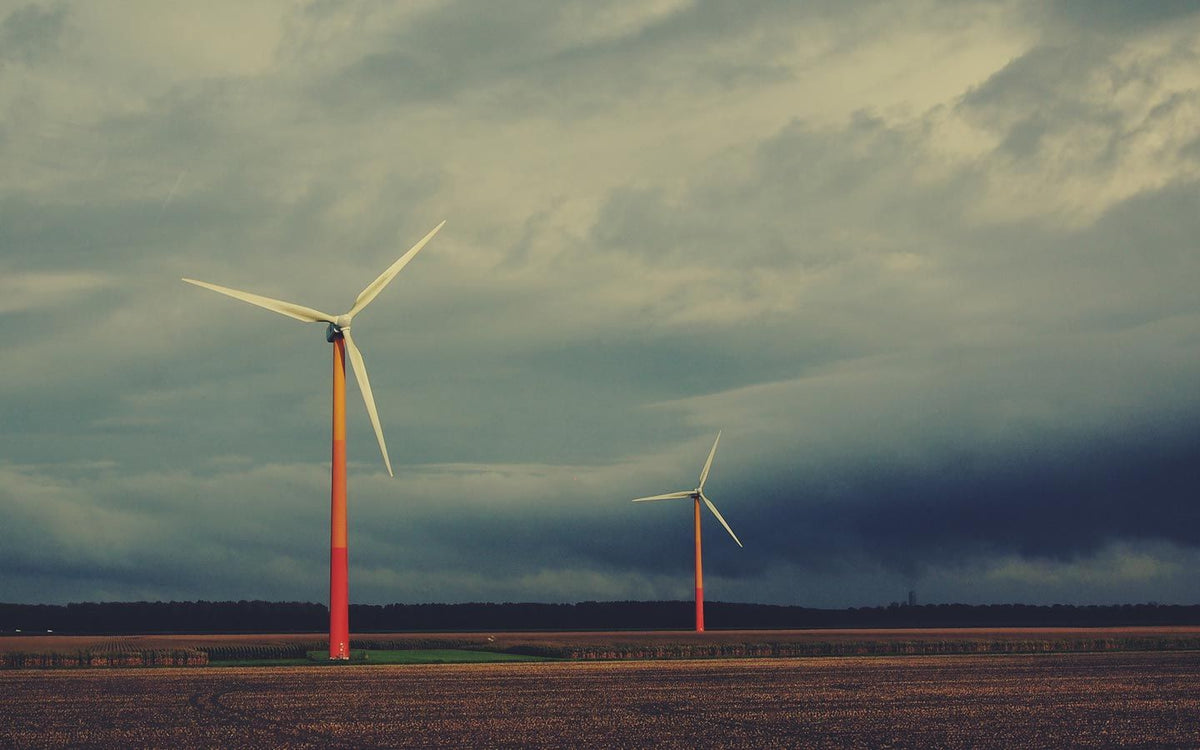 Carbon Offsets – Eartheasy