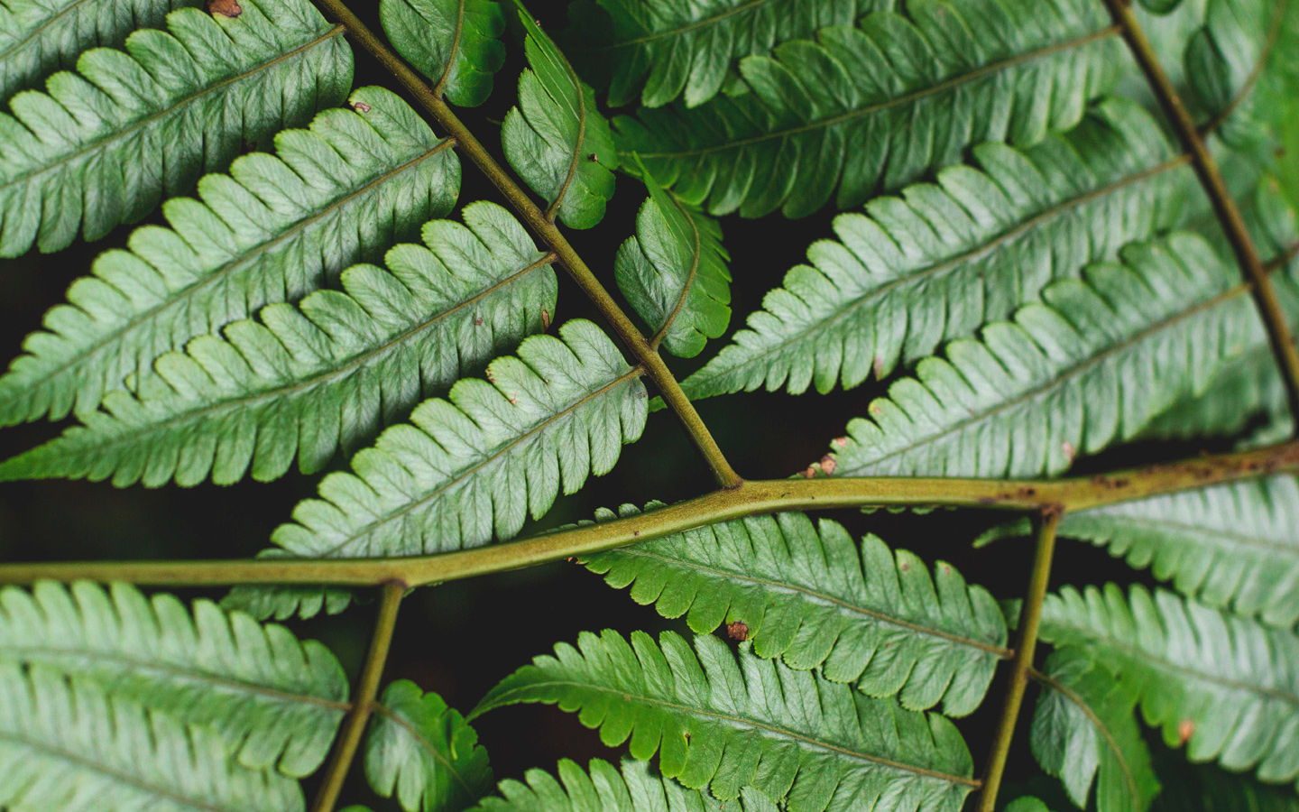 Thank You, and Goodbye, Becky Tarbotton