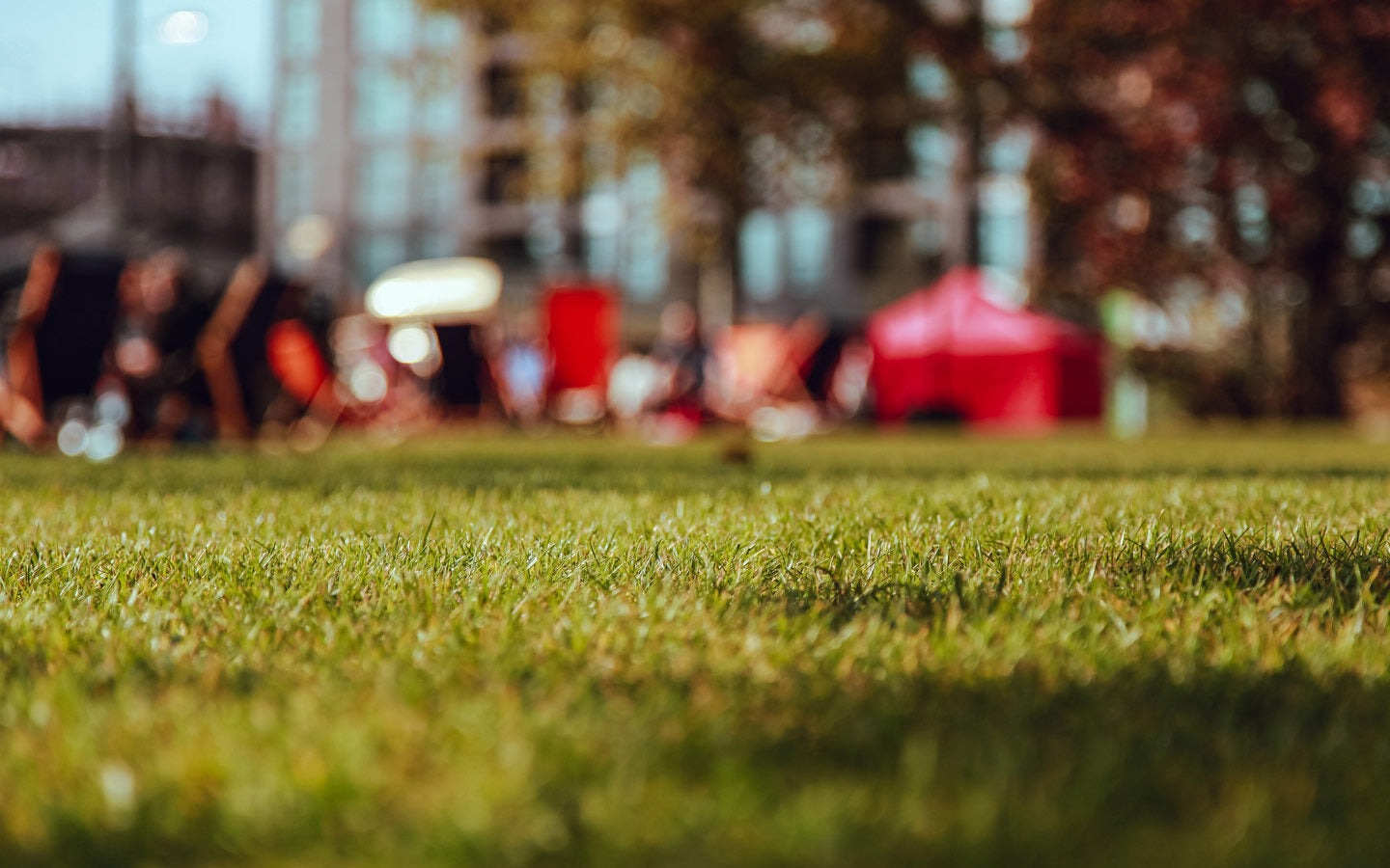 Would You Expose Your Family to Neurotoxins for a Greener Lawn?