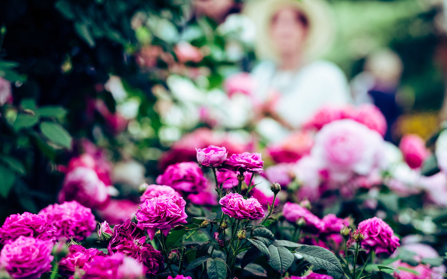 6 Unexpected Health Benefits of Gardening