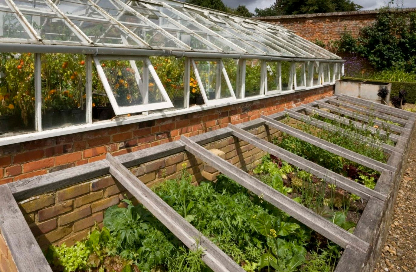 How to Use Cold Frames in Your Garden