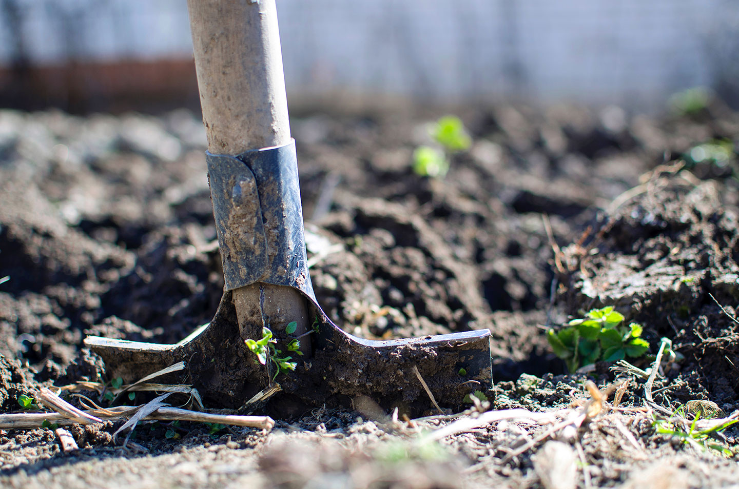 7 Signs Your Compost is Struggling (and What You Can Do About It)