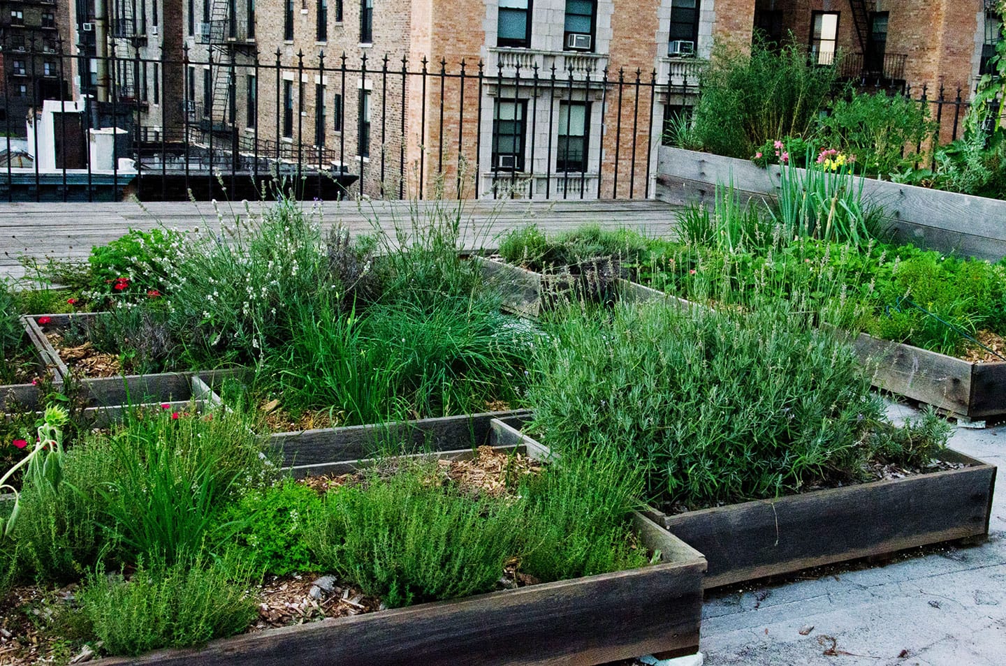 Gardening on Concrete With Raised Beds and Patio Containers
