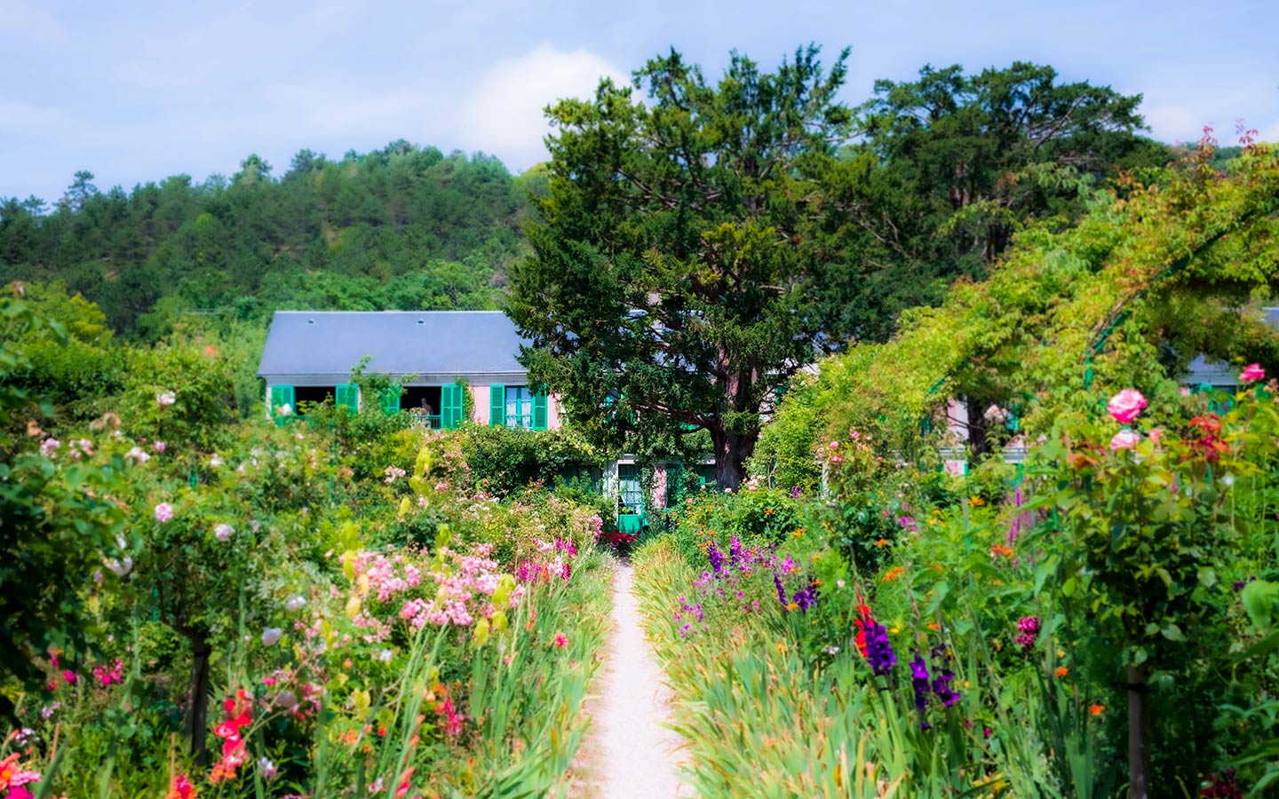 Design and Grow a Cottage Garden