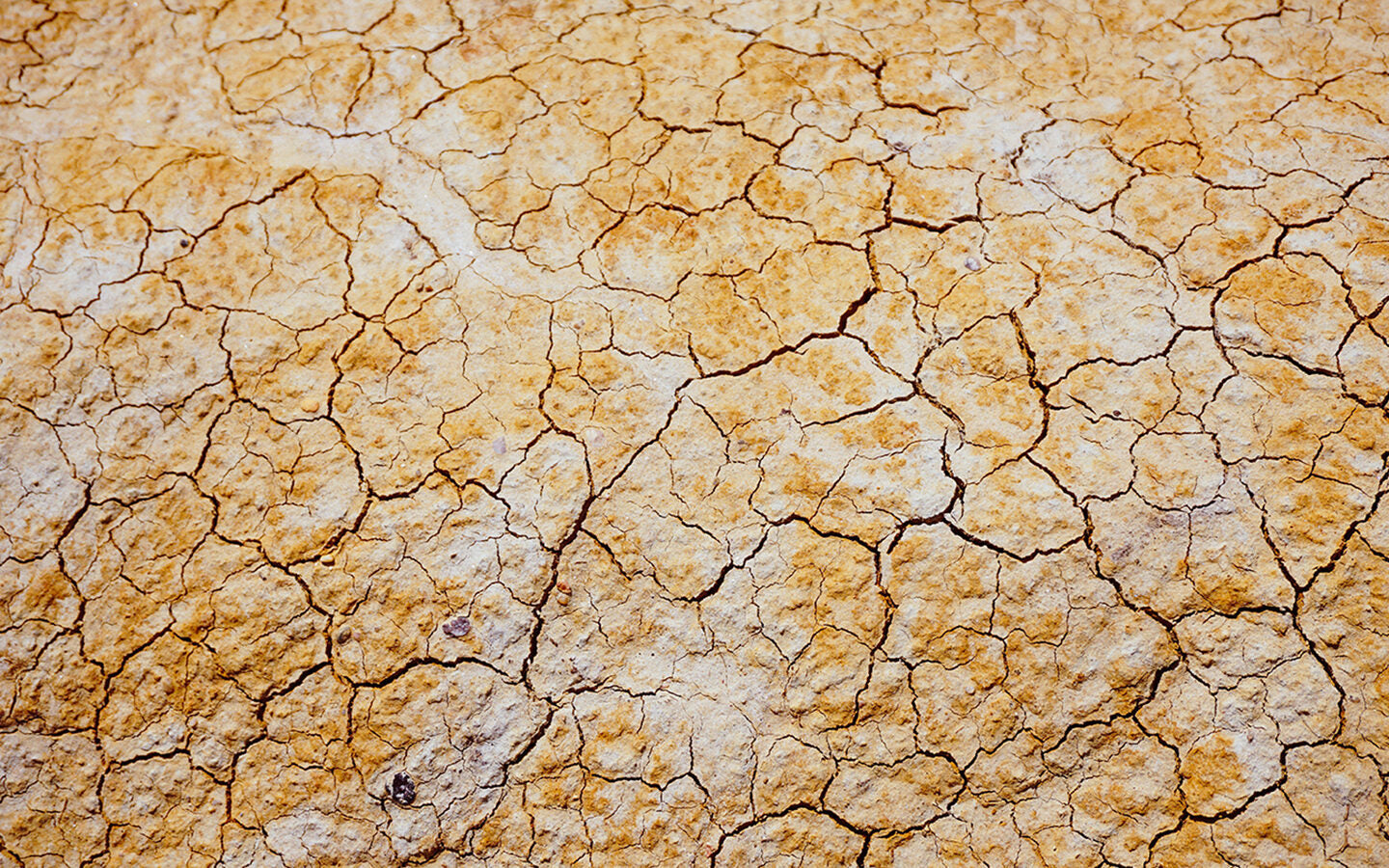 The 5 Best Ways to Save Water During a Drought