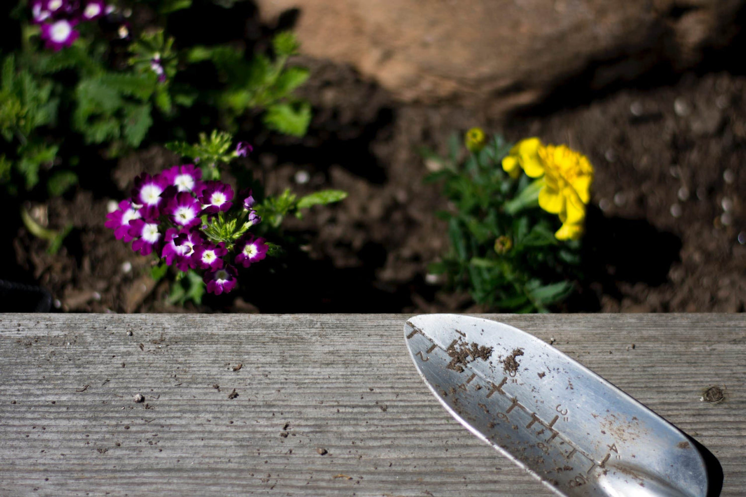 The Easiest Way to Start Composting Now