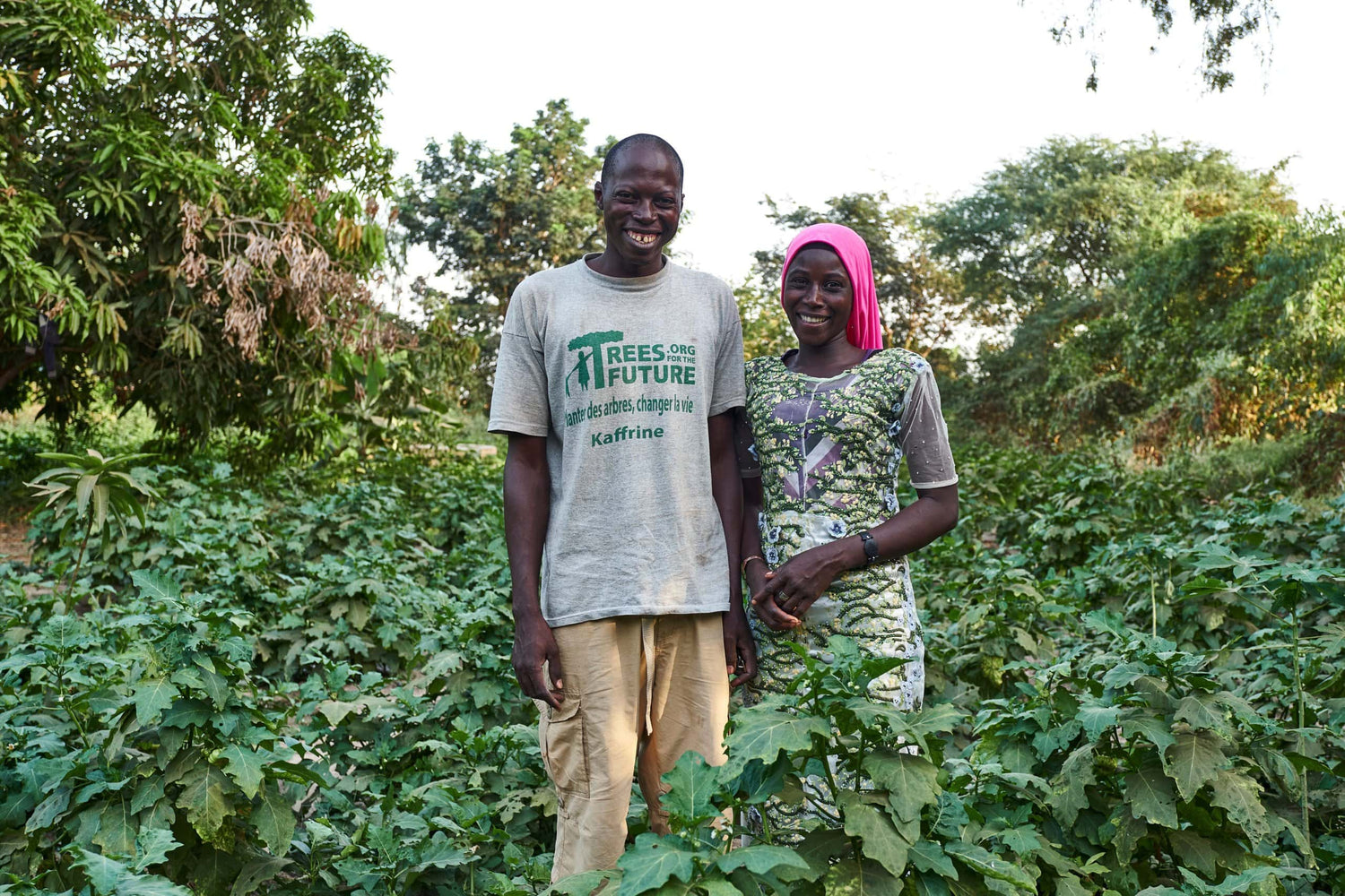 Eartheasy to Help Plant 30,000 Trees This Year - Eartheasy
