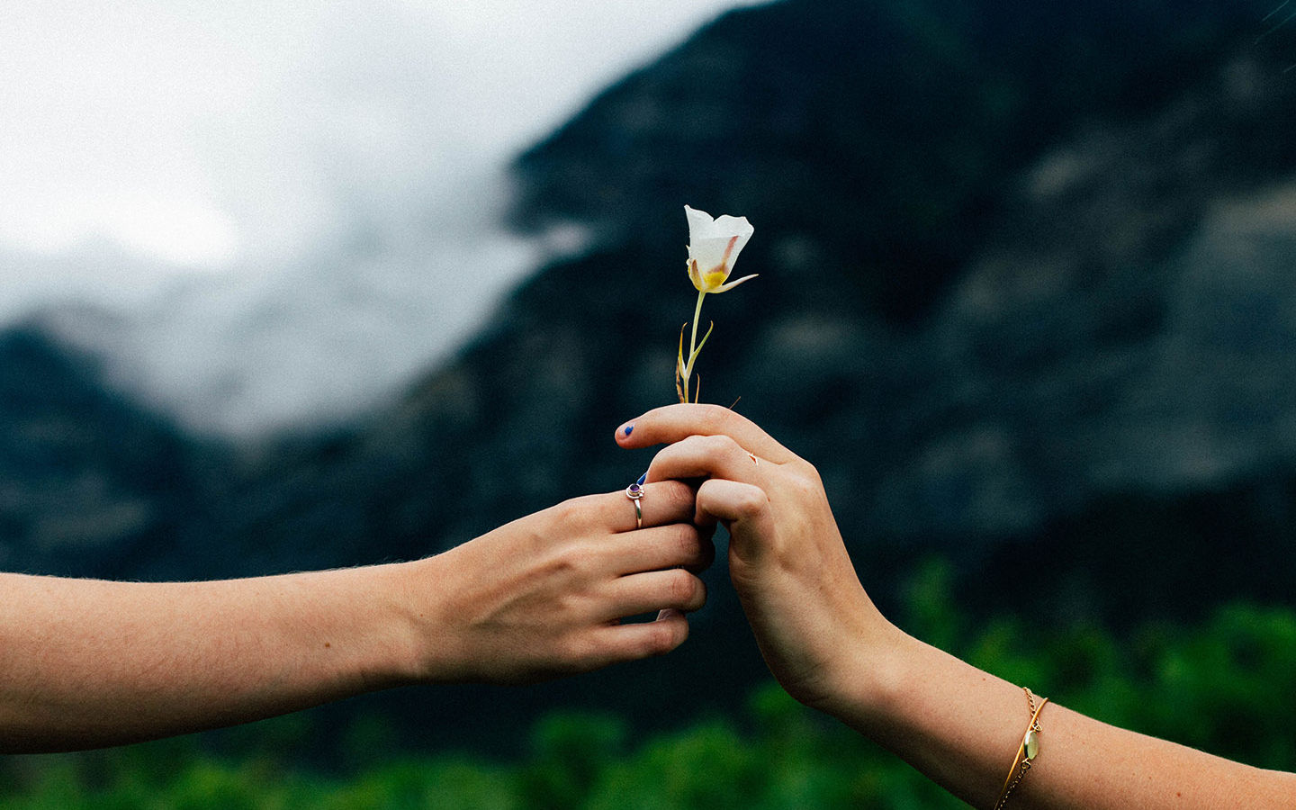 The 8 Simple Rules of Sharing